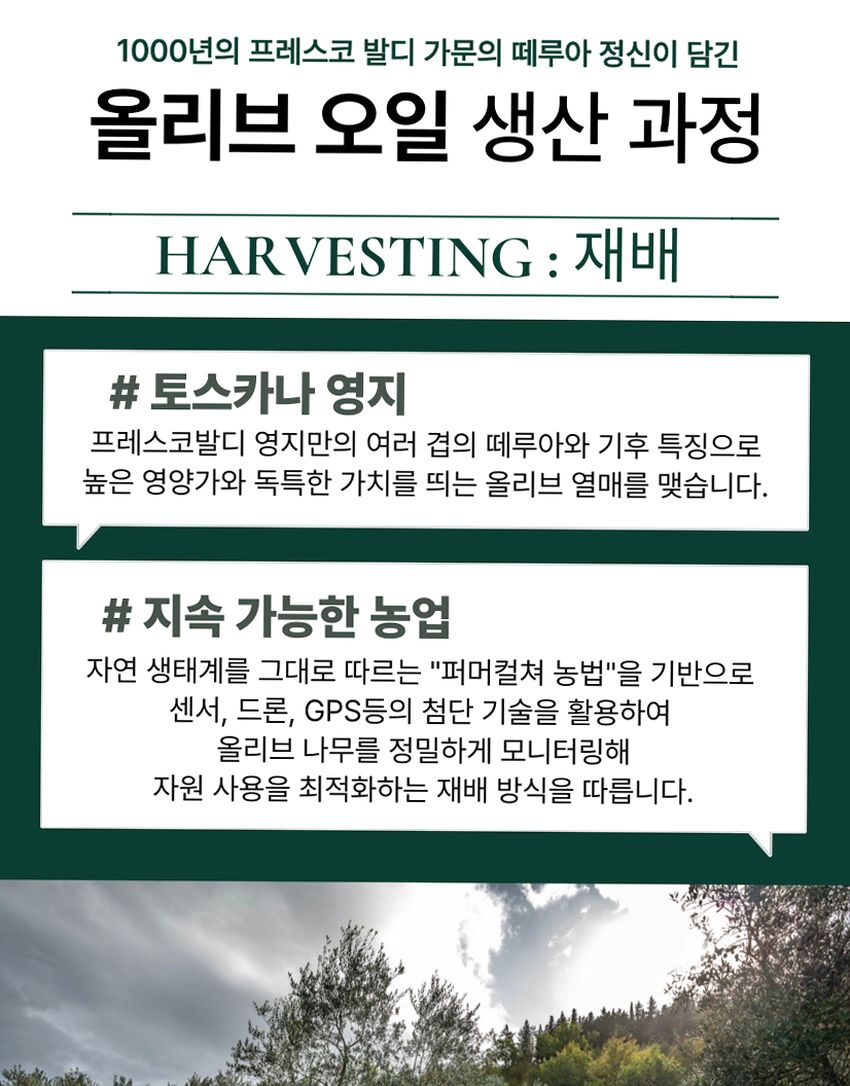라우데미오 프레스코발디 올리브오일 500ml 엑스트라버진 이탈리아 압착 올리브유